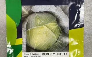 Beverly Hills / Беверлі Хілз