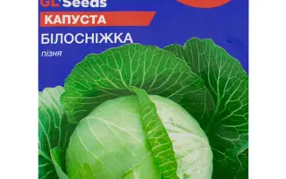 Белоснежка / Білосніжка