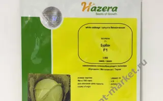 Bourbon F1 / Бурбон F1