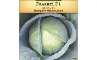 Galaxy F1 / Галакси F1