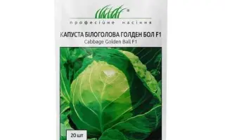 Golden Ball / Голден Бол