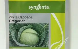 Gregorian F1 / Грегоріан F1