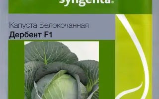 DERBENT / ДЕРБЕНТ