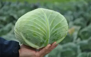 Gintama / Джинтама