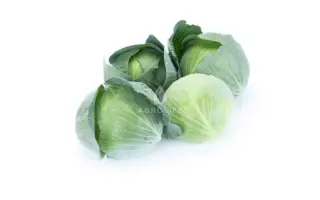 Dulcima / Дулсіма