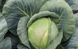 EXPLORER / ЕКСПЛОРЕР