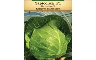 Zarissima / Заріссіма