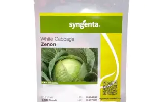 Zenon F1 / Зенон F1