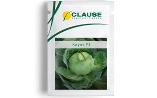 Count F1 / Каунт F1