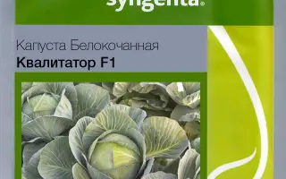 QUALITATOR / КВАЛІТАТОР