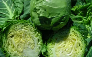 Kevin F1 / Кевін F1