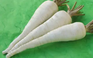 KILACEES / КІЛАСІС