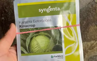 KILASTOR / КІЛАСТОР