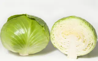 Compass / Компасс