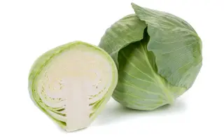 Congama / Конгама