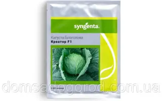 CREATOR / КРЕАТОР