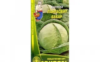 Langesvyt Bewaar / Лангесвит Бевар