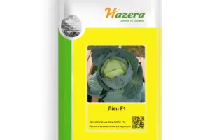 Lion F1 / Ліон F1