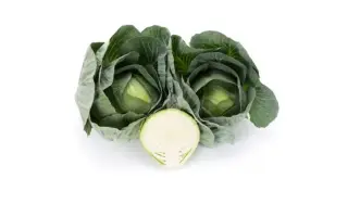 Longma / Лонгма