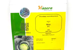 Magnus / Магнус