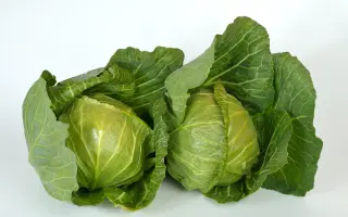 Mirror F1 / Мірор F1