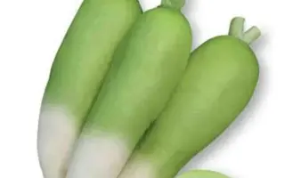 Misato F1 / Місато F1