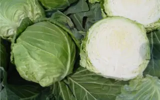 Orienta F1 / Орієнта F1