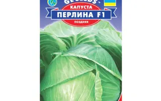 Перлина F1