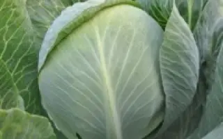 Ramenos / Раменос