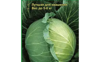 Rinda F1 / Ринда F1