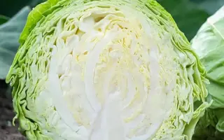 ROSBERG / РОСБЕРГ