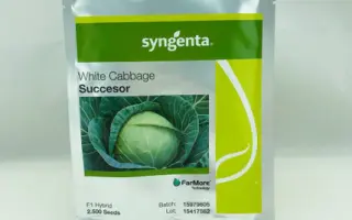 SUCCESOR / САКСЕСОР