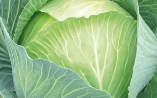 SV3404JL / СВ3404ЖЛ