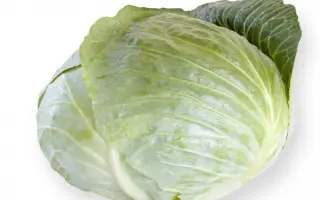 Septima / Септима