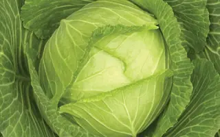 Sky Aes / Скай Ейс