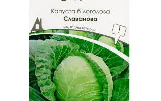 Slavanova / Славанова