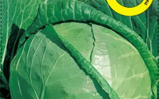 Slaviya / Славія