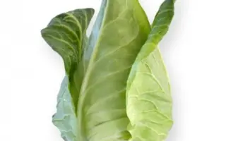 Sonsma / Сонсма