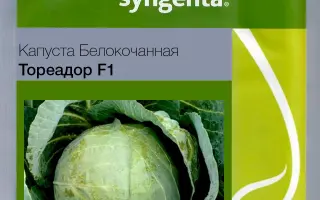 TOREADOR / ТОРЕАДОР