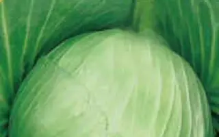 Украинская осень / Українська осінь