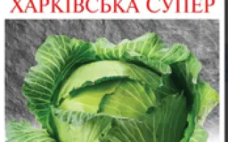 Харківська Супер