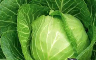 Home Run / Хом Ран