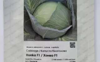 Honka F / Хонка F1