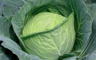 Charmant / Шармант