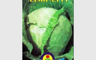 Адмирал F1 (ЦЛ 807 F1) / Адмірал F1