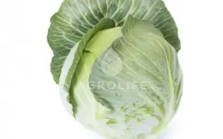 Axioma / Аксіома