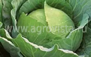 Braxan F1 / Браксан F1