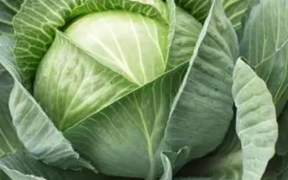 Kalina F1 / Каліна F1