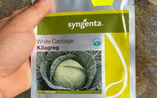 Kilagreg F1 / Кілагрег F1