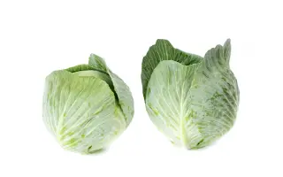 Lagrima / Лагріма